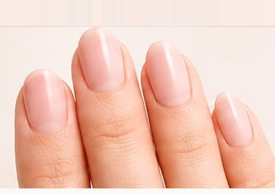 Short Oval ショートオーバル